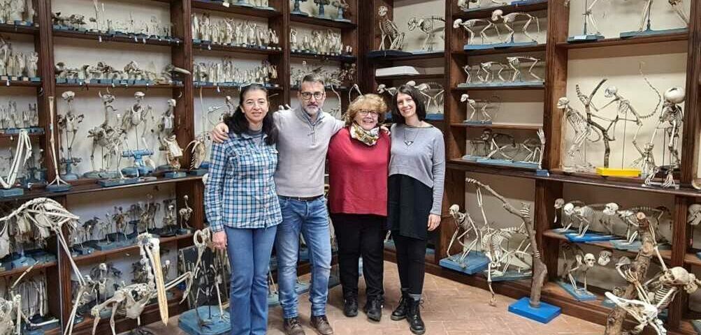 Museo di Storia naturale dell'Università di Pisa